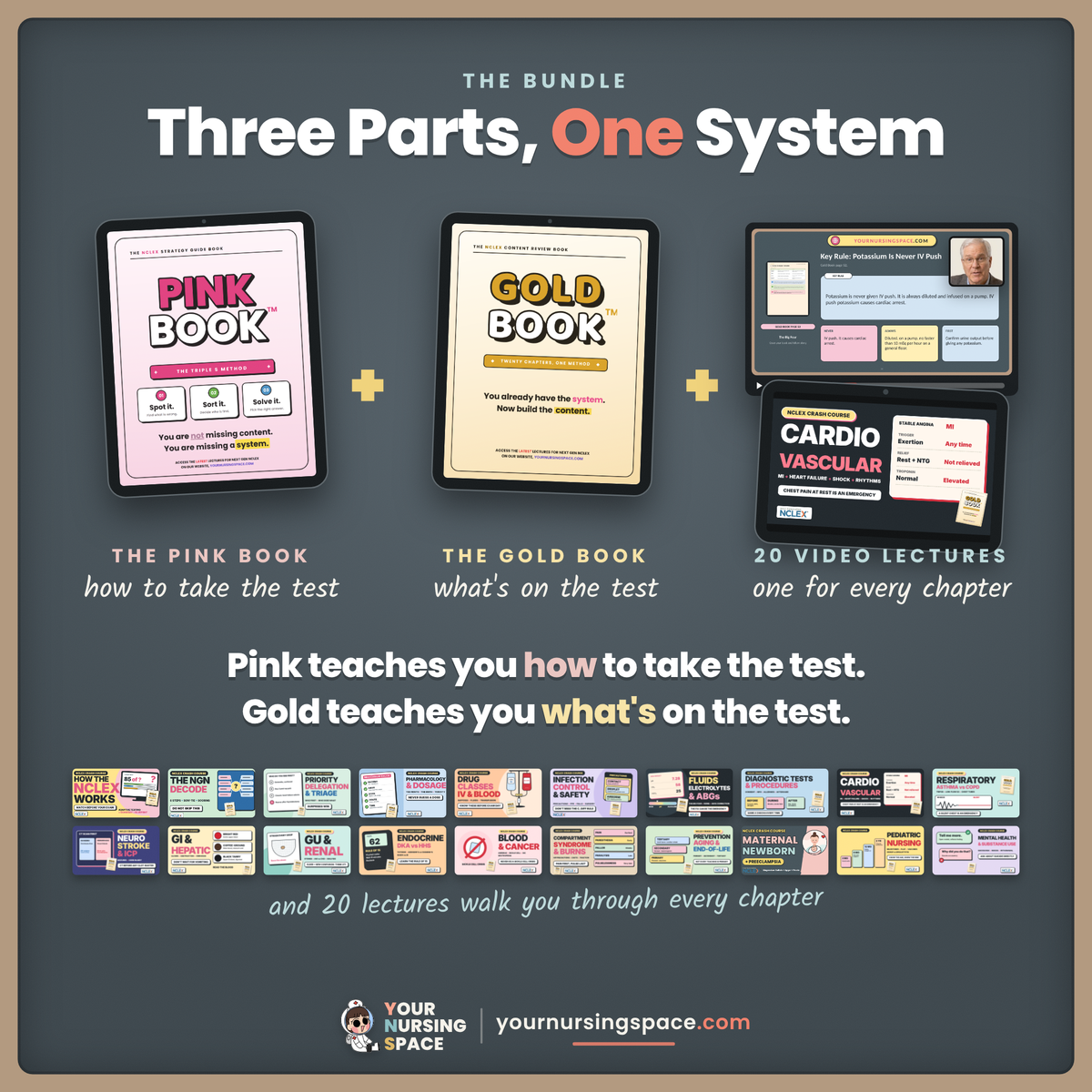 The NCLEX CORE Bundle: Pink Book, Gold Book + 20 Video Lectures