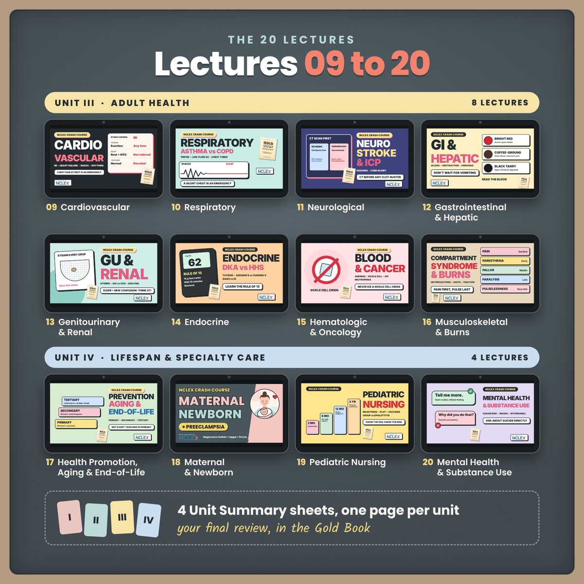 The NCLEX CORE Bundle: Pink Book, Gold Book + 20 Video Lectures