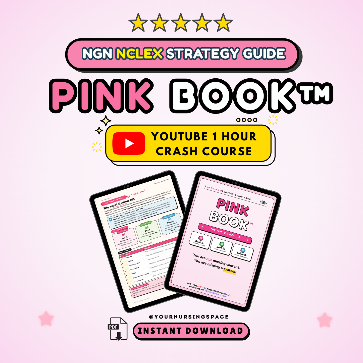 The Pink Book: NCLEX-NGN Test-Taking Strategy Guide