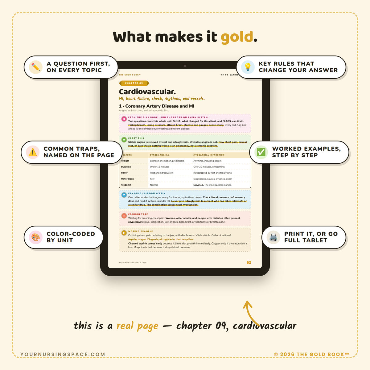 NCLEX Content Review Guide 2026 | Gold Book | 20 Chapters + Quick Reference Vault | Instant PDF