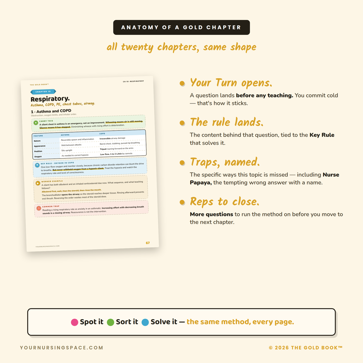 NCLEX Content Review Guide 2026 | Gold Book | 20 Chapters + Quick Reference Vault | Instant PDF