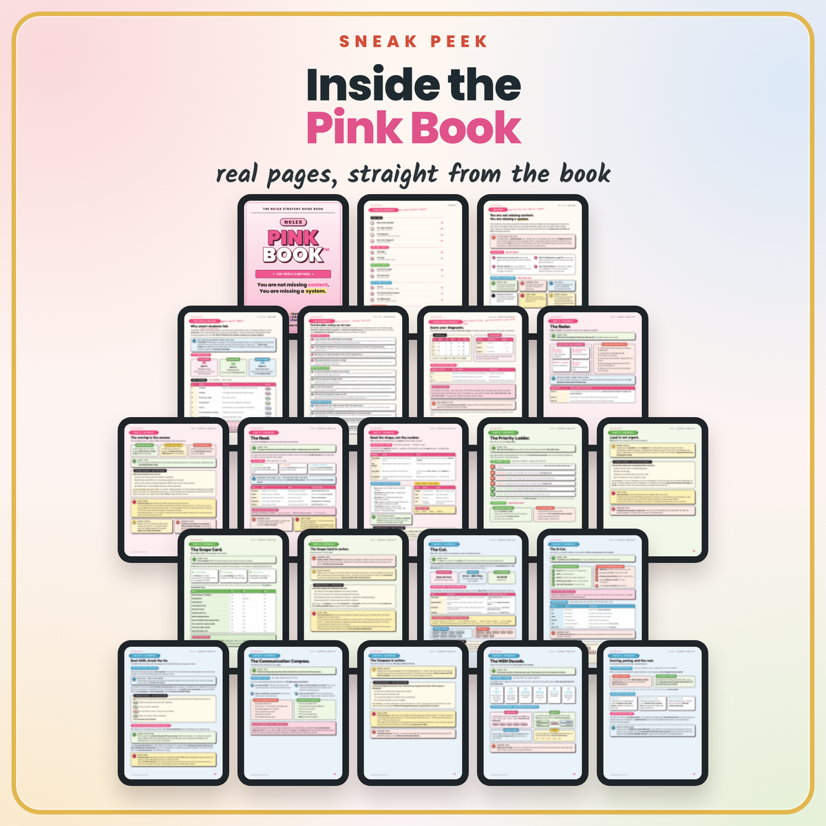 NCLEX Pink Book: sneak peek