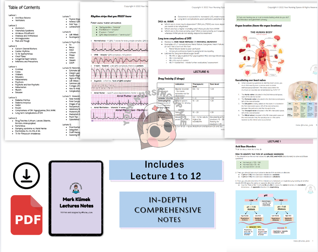 NCLEX MEGA Bundle based on Mark Klimek | Blue, Yellow, Review Notes, and Bonus NCLEX prep Notes and links | Instant Access